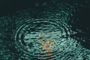 Fresh voices can be like ripples in a pond